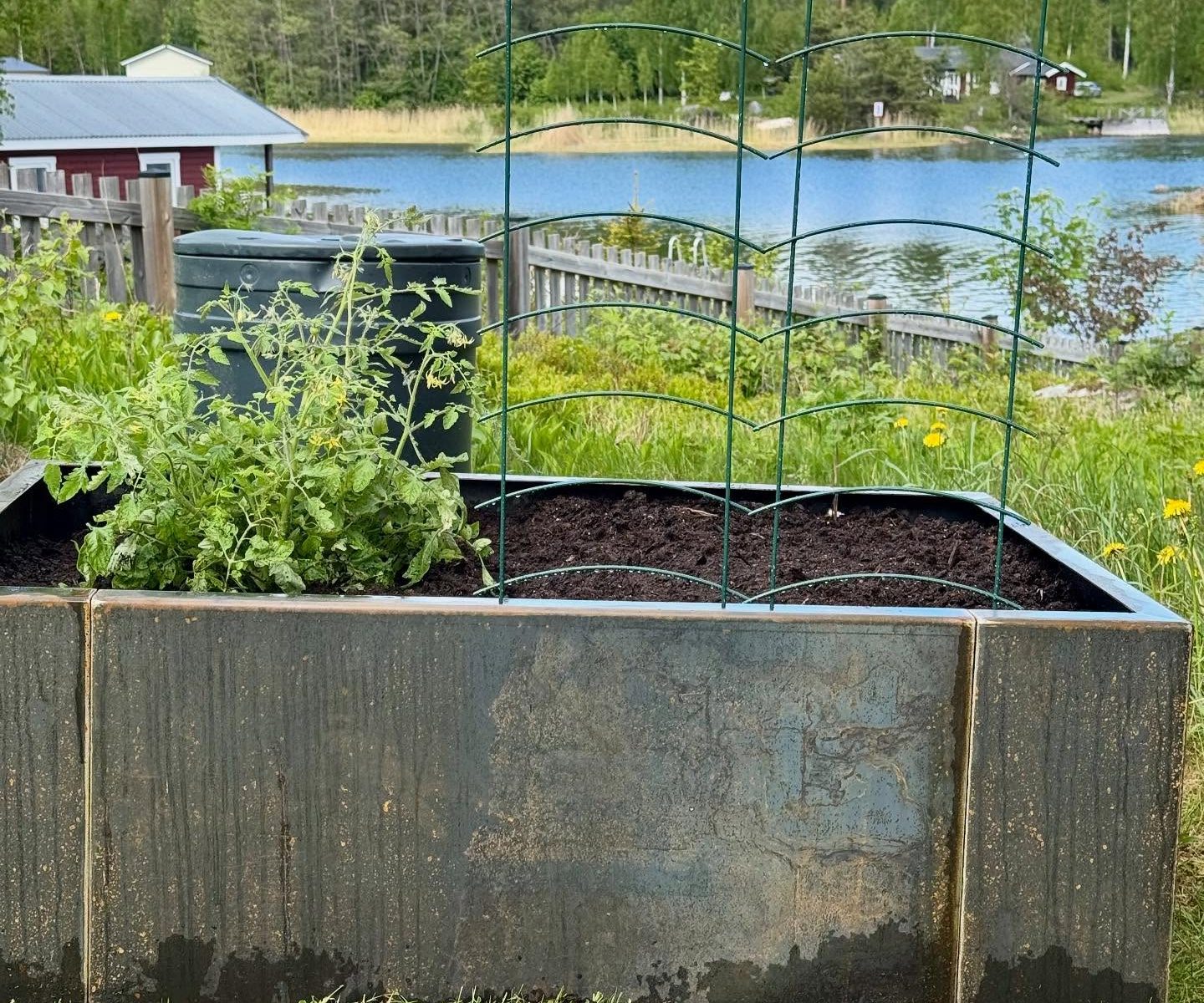 Blomlåda i cortenstål planterad med sommarblommor och odlingar